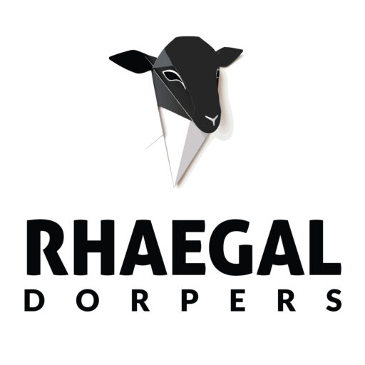 Rhaegal Dorpers